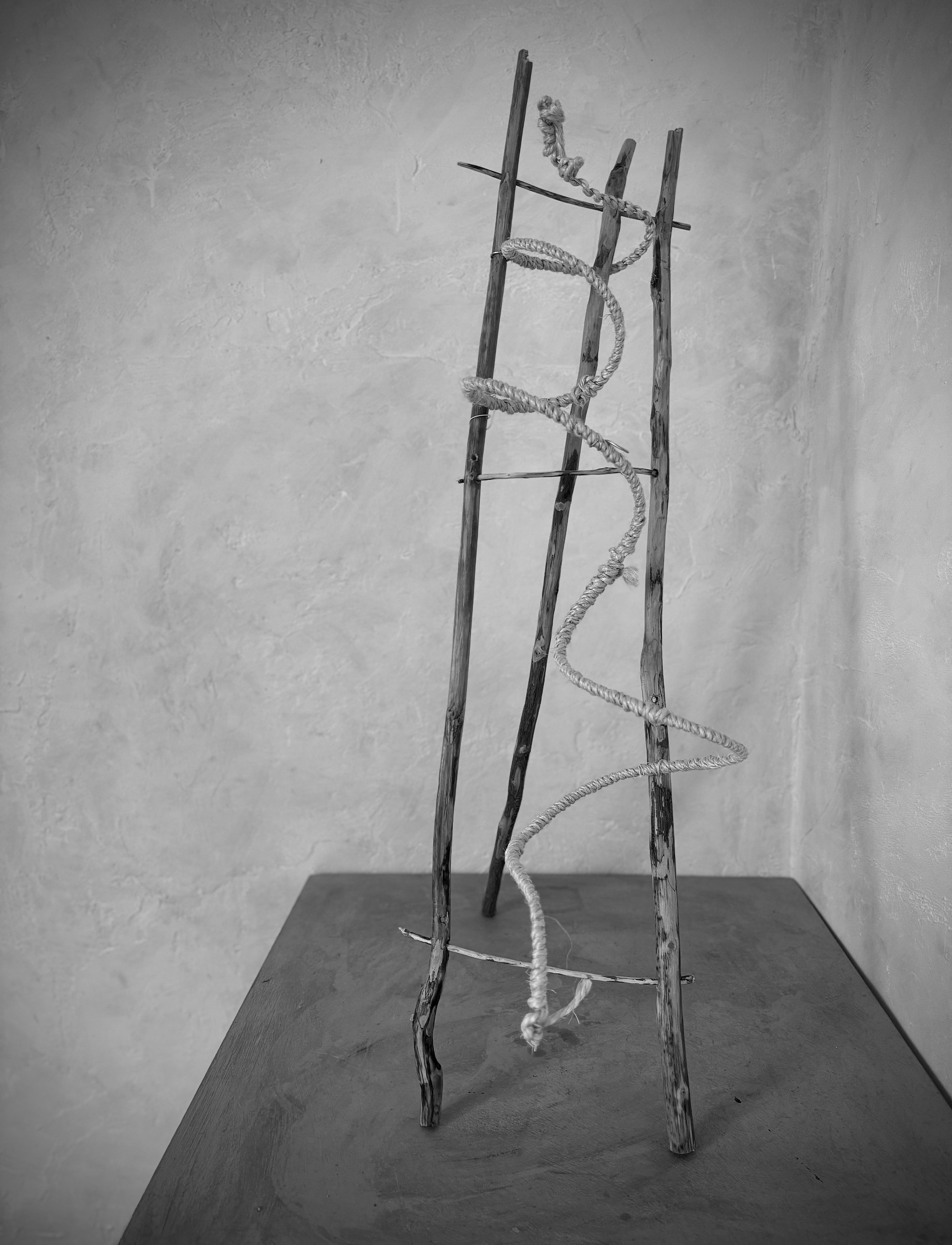 L' escalier