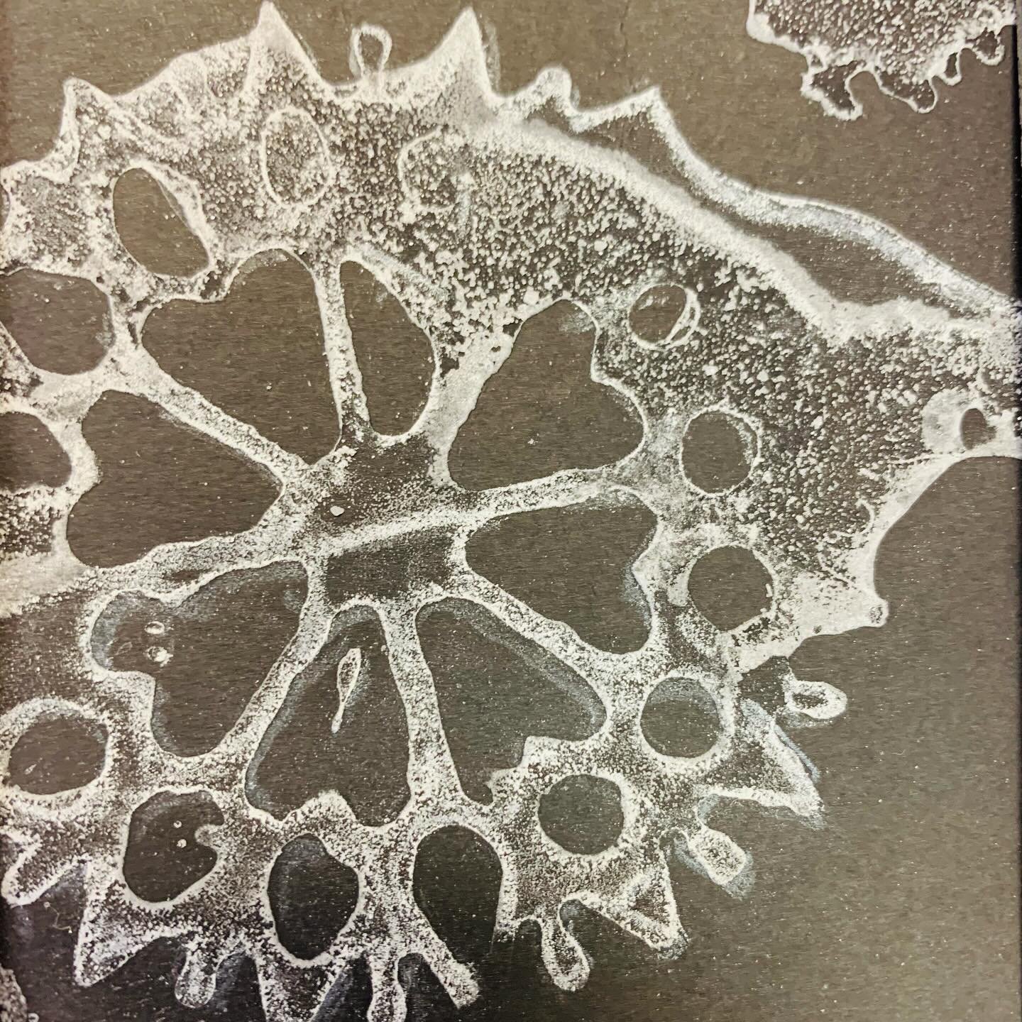 ❄️ Snowflake Magic Workshop ❄️

Inspired by Wilson Bentley&rsquo;s iconic snowflake photography, the seniors at Colonel Belcher created beautiful snowflake prints using salt painting techniques. 

These delicate geometric shapes of the snowflakes,  a