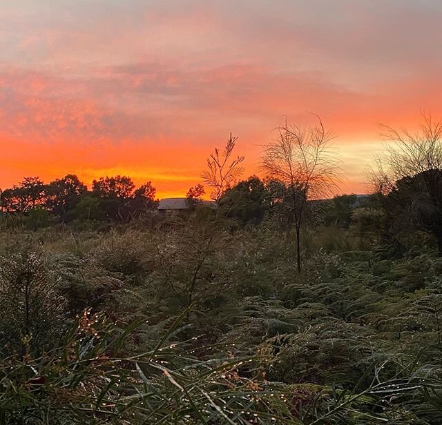 Good morning! Stunning sunrise this morning! A beautiful reminder from Mother Nature to stay connected to light and keep our thoughts and actions uplifted, especially if we are finding ourselves with challenging emotions or internal self talk at this