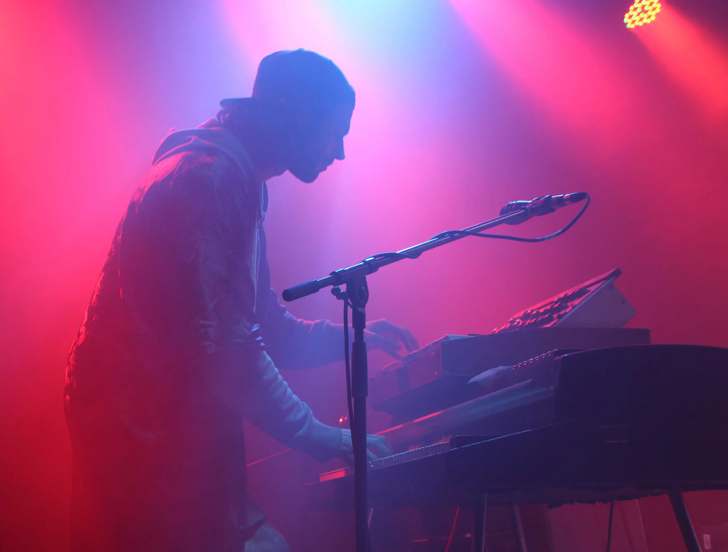 Captured by Wendy Collings