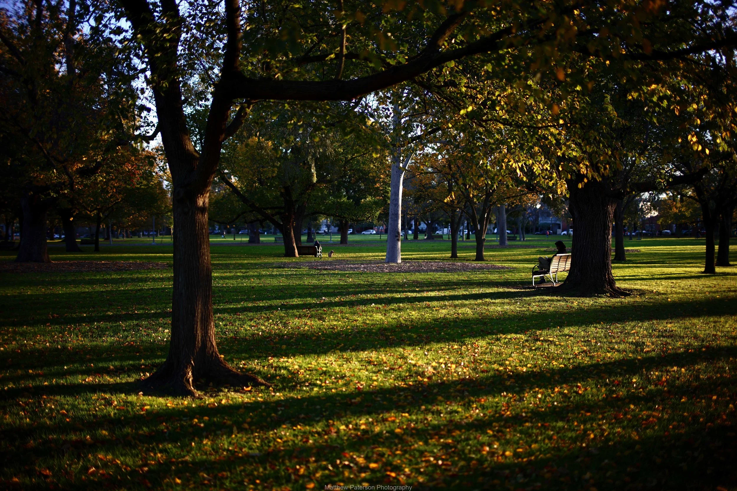 IMG_4636_DxO.jpg