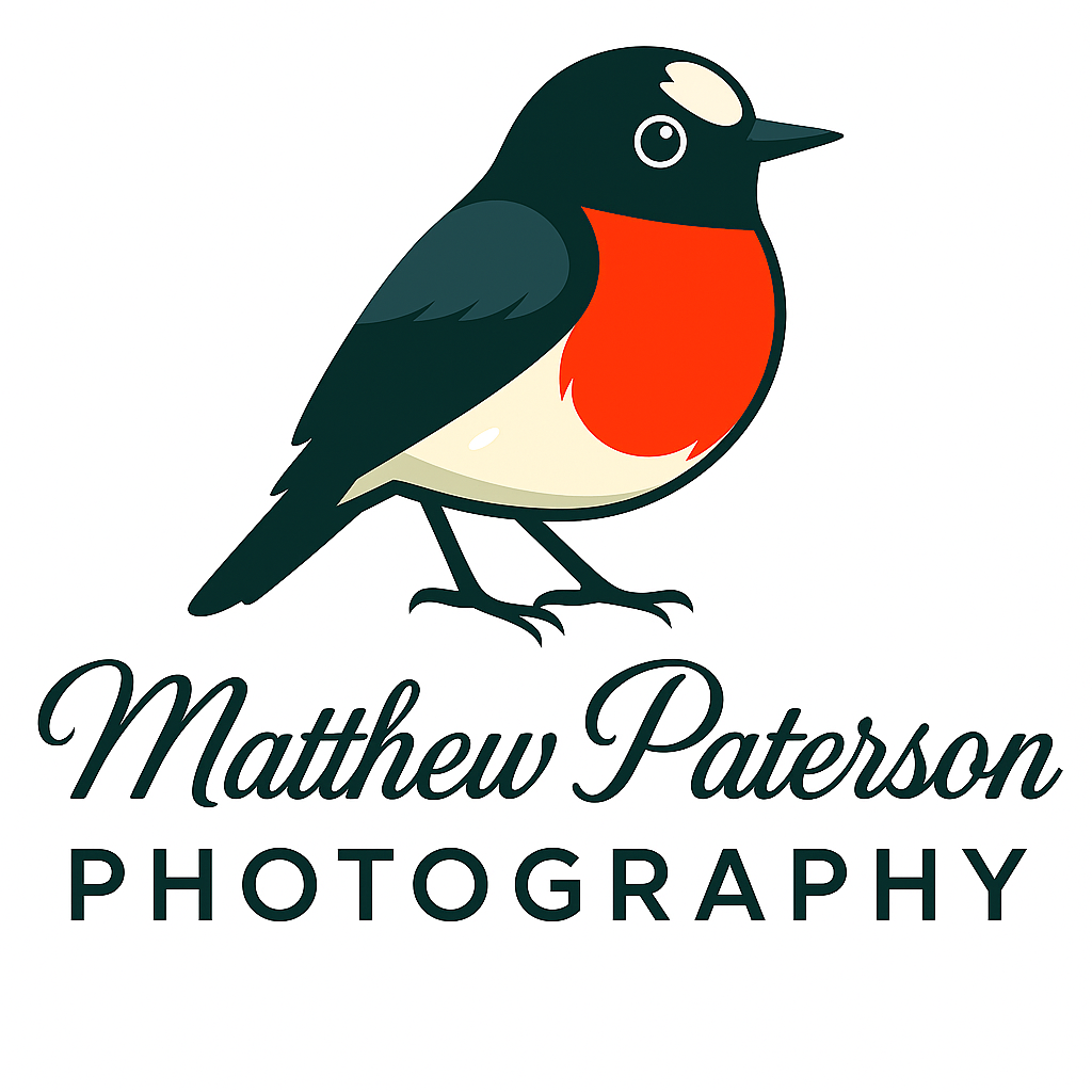 matthew paterson photography