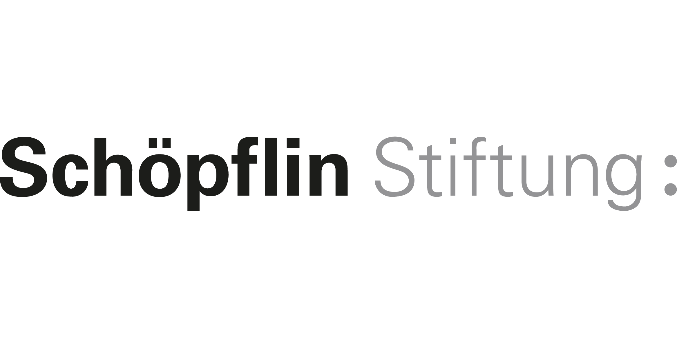 Partner Logos_Schopflin Stiftung.png
