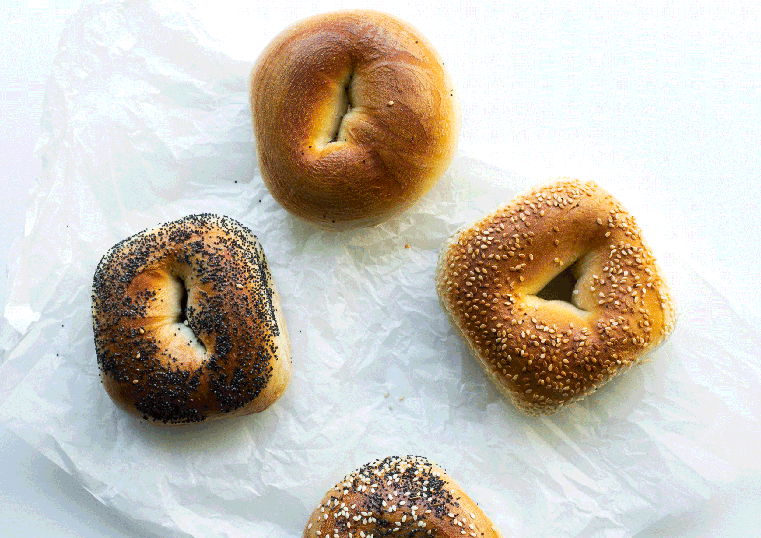 Lox-Header-Image.gif
