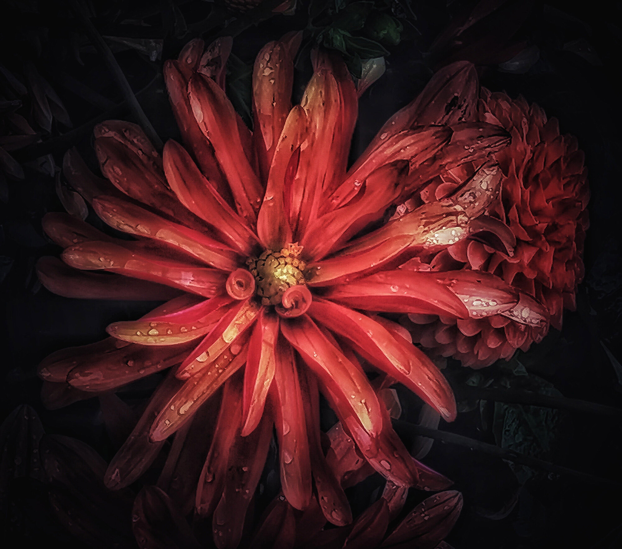 Flower detail by Neil Merideth