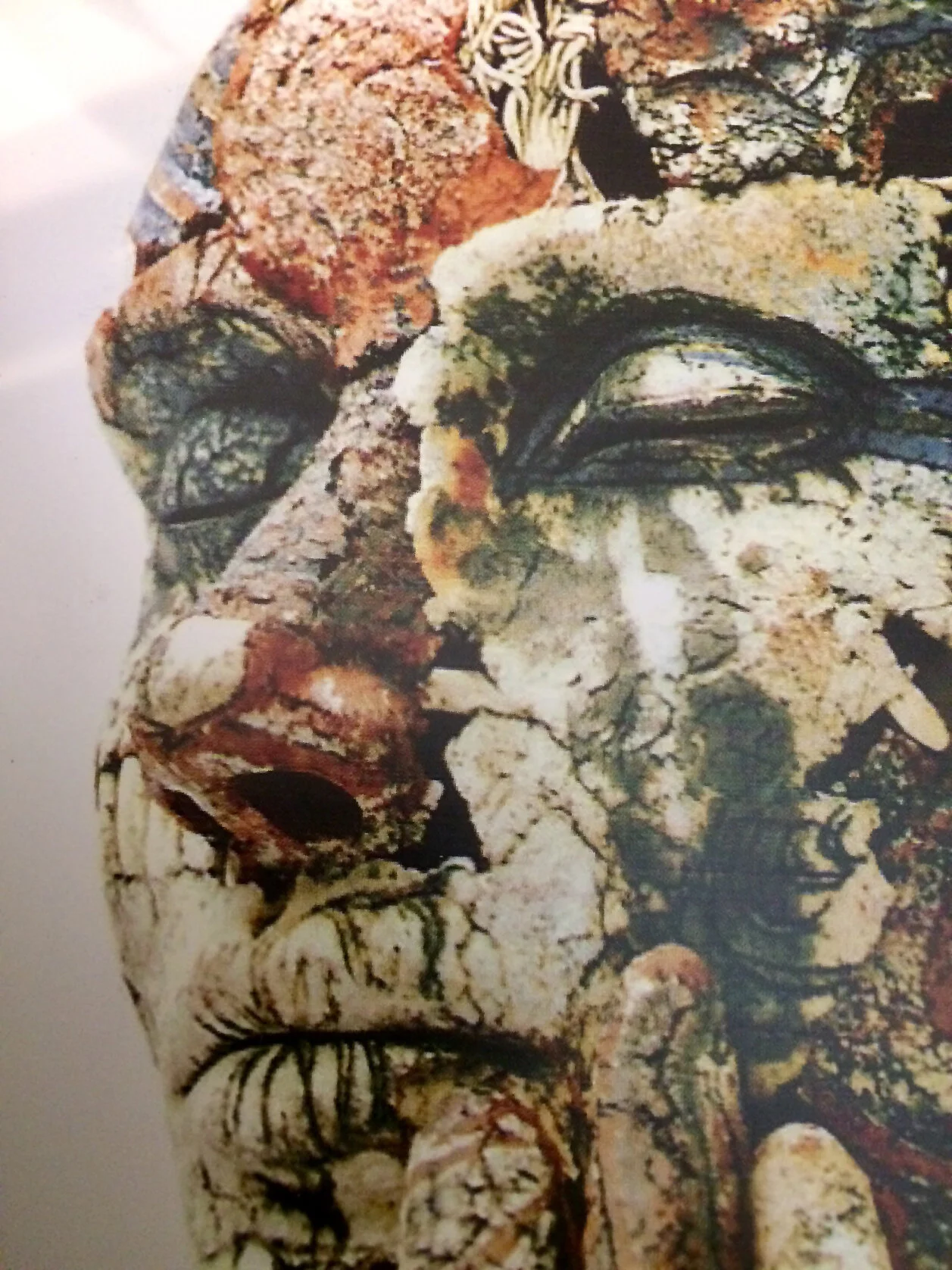 Artist in Residence: Helen Nottage