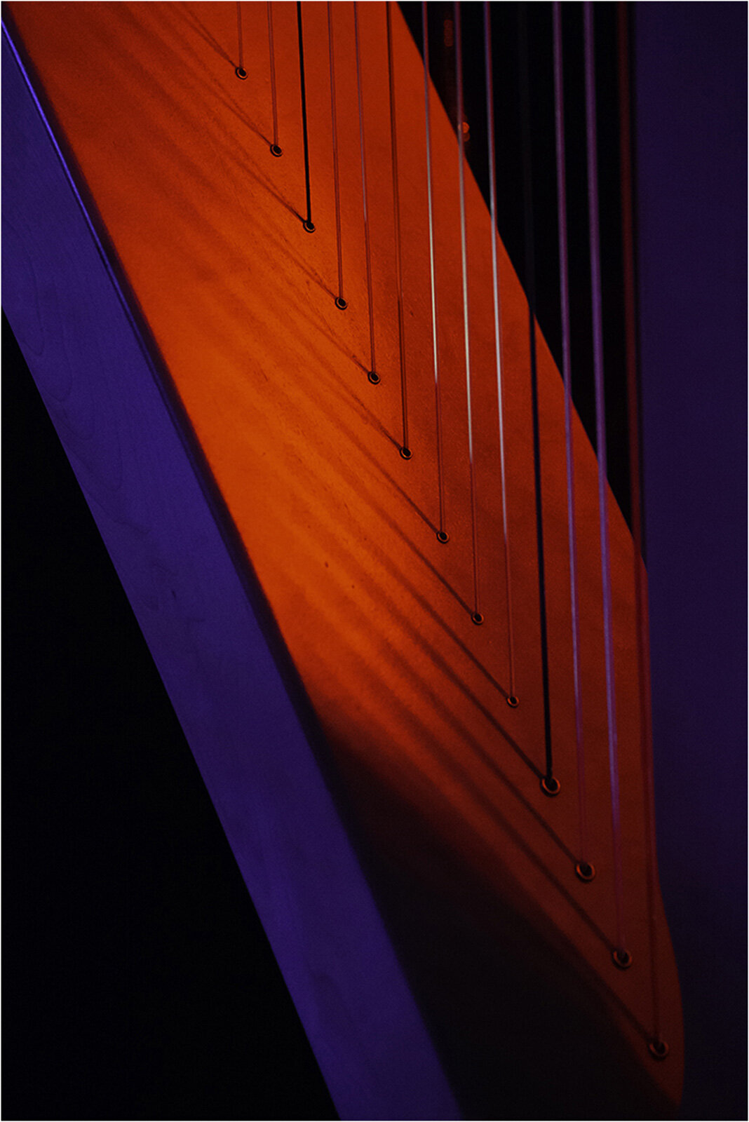 Michael Butterworth, Cerian's Harp