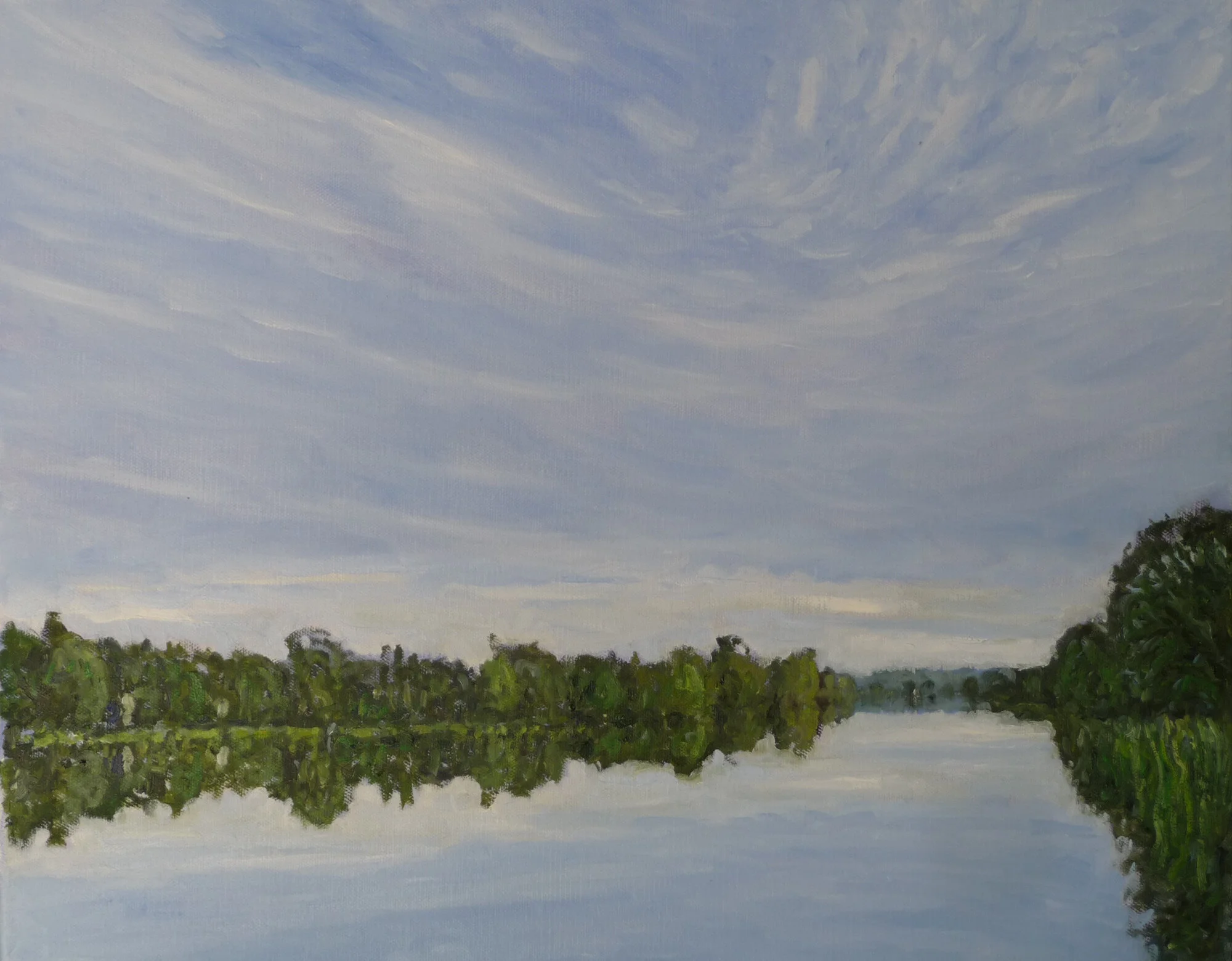 Henley Reach Looking towards Temple Island by Steve Allender