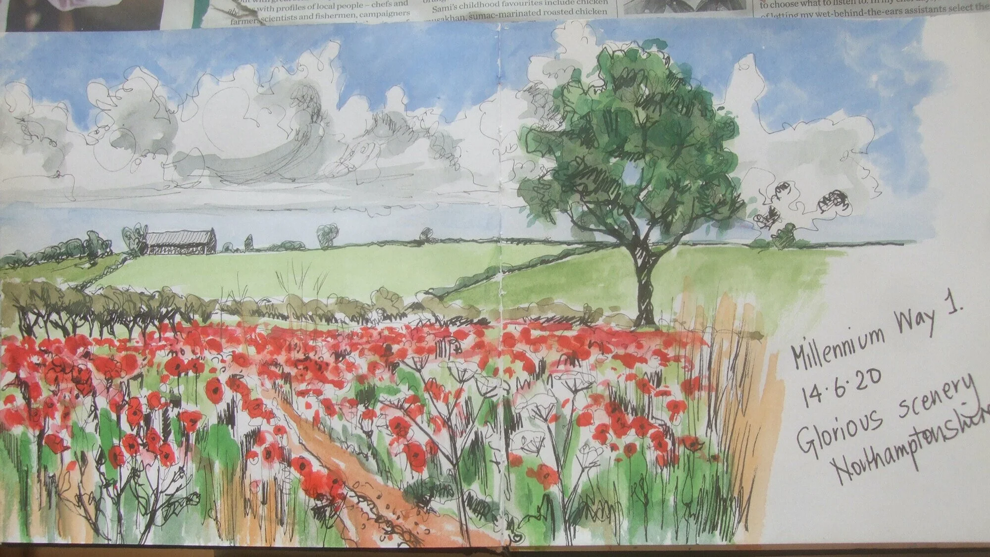 100 Miles of the Millennium Way by Ruth Harris