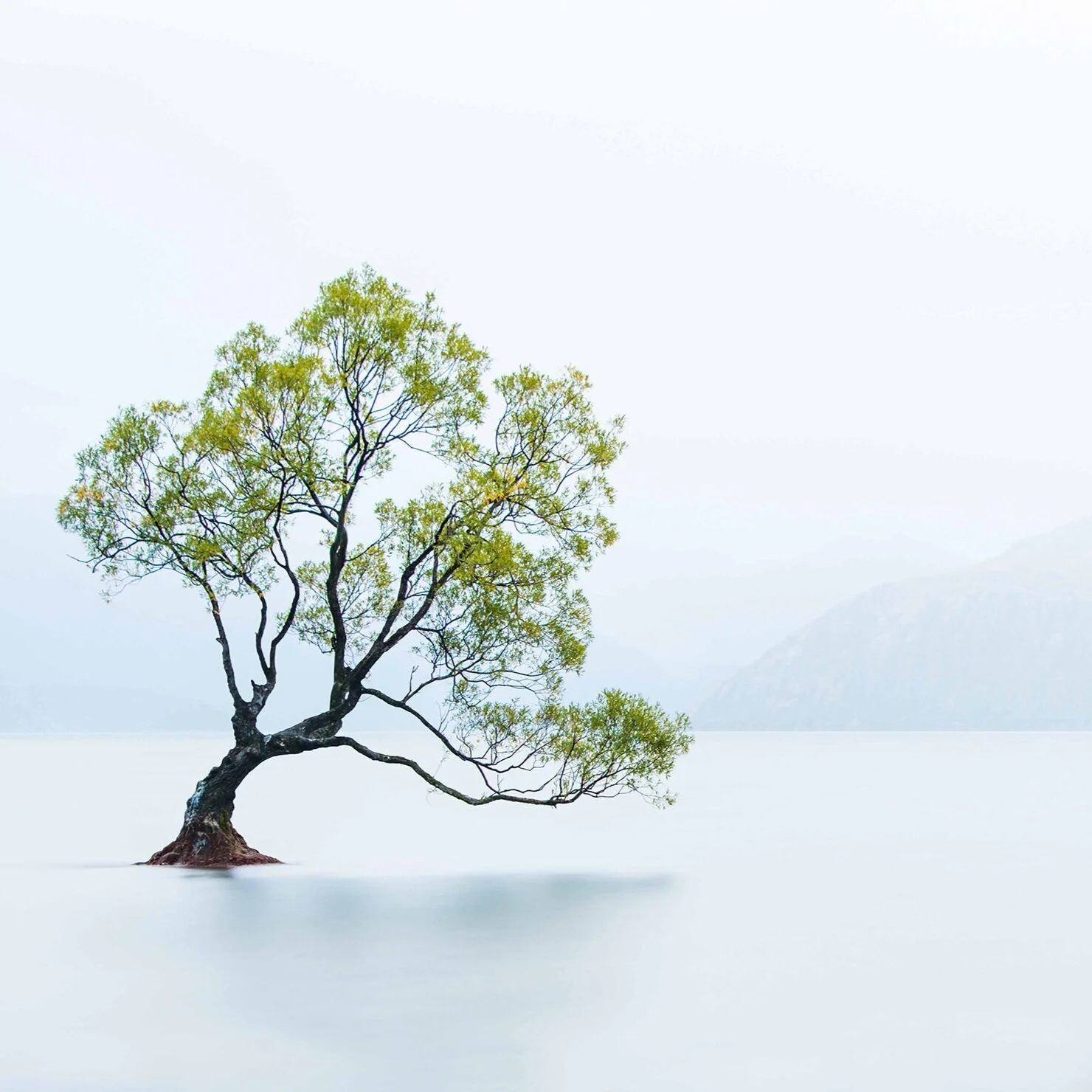 [Focus] on Photography Competition Promises a Celebration of Creativity