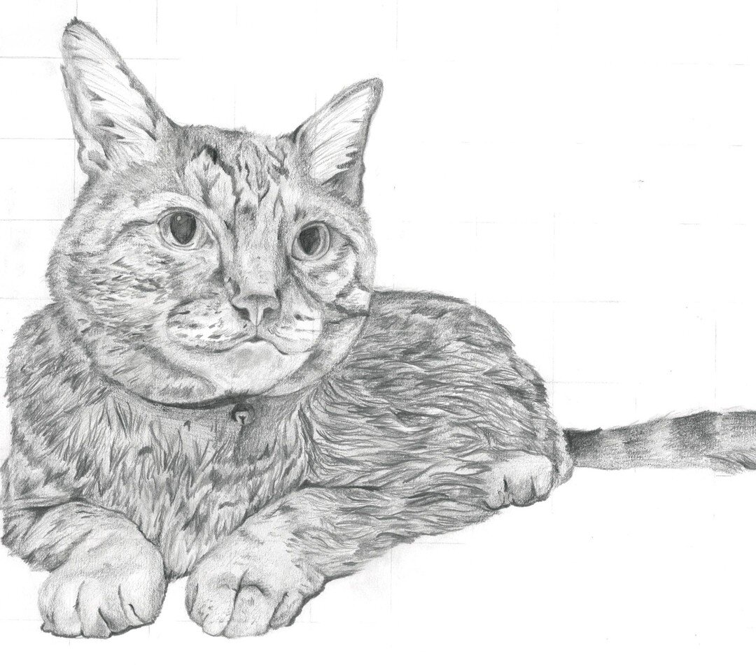 Check out the variety of observational drawings in our Year 11 exhibition, Still Lives! The link to view is in our bio 🐱

✏️ Drawing by Poppy Williams

&quot;Art is a form of expression that you can&rsquo;t quite put into words... There are no set r
