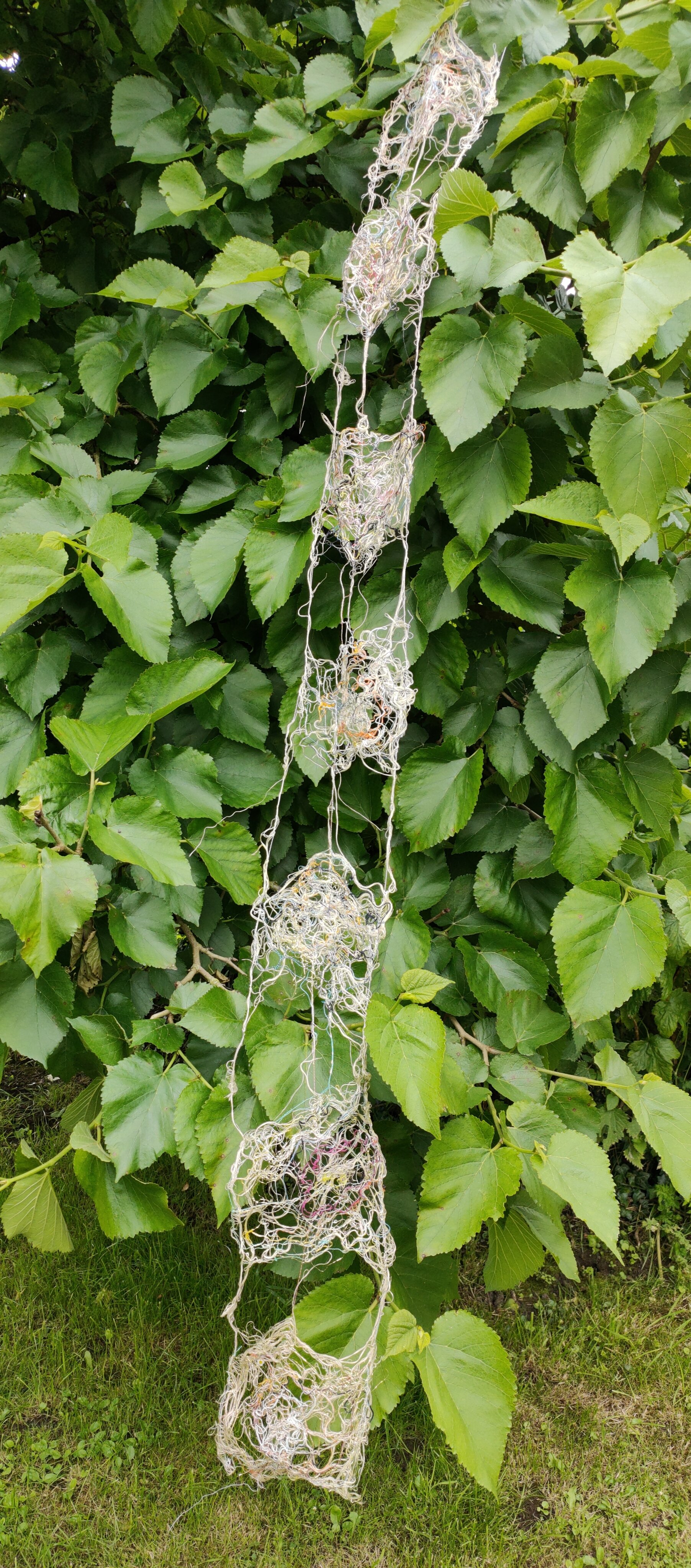 Cobwebs by Lilian Stageman