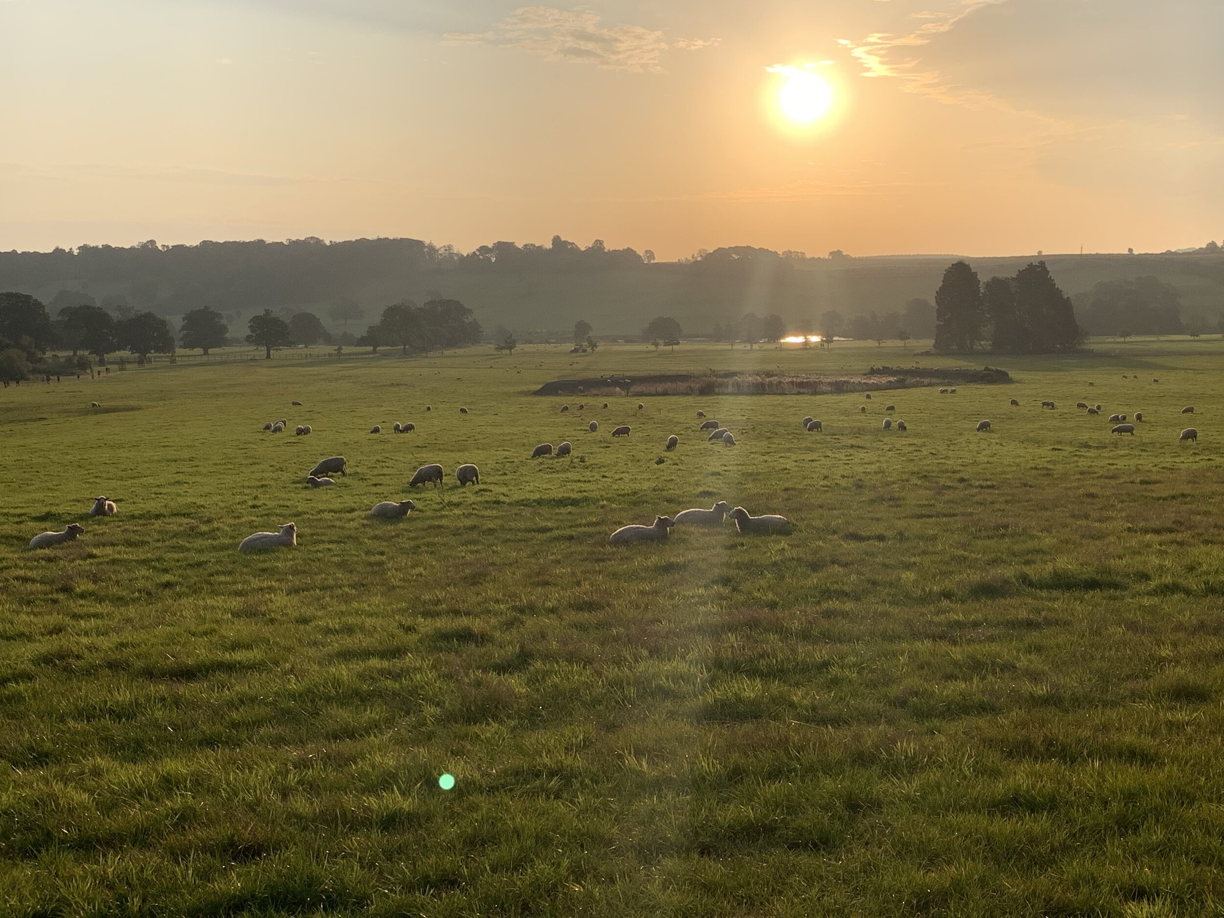 Morning Run by Matt Robey