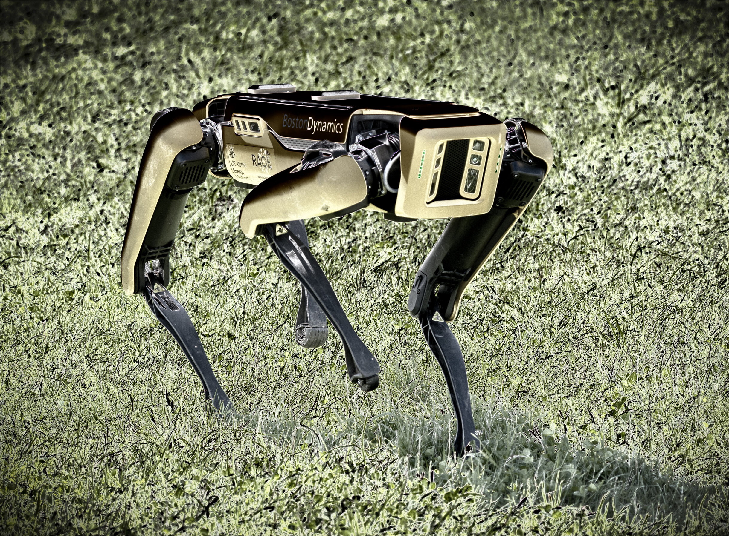 Robo Dog by Nick Steadman