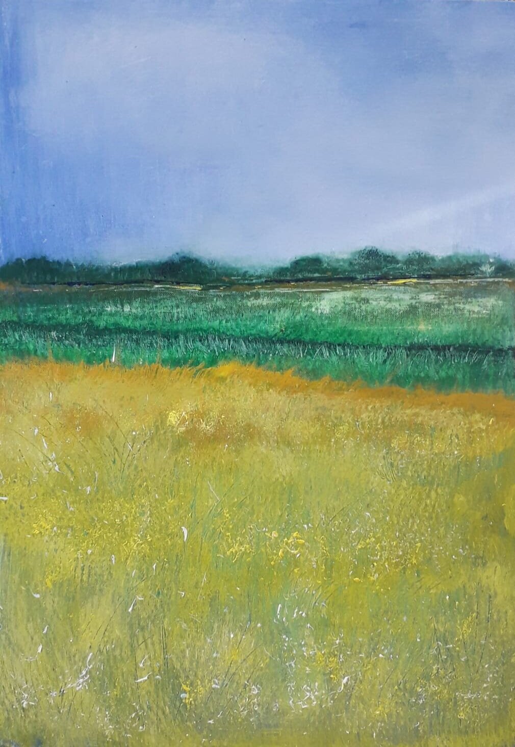 Meadow in Summer by Andrea Slater