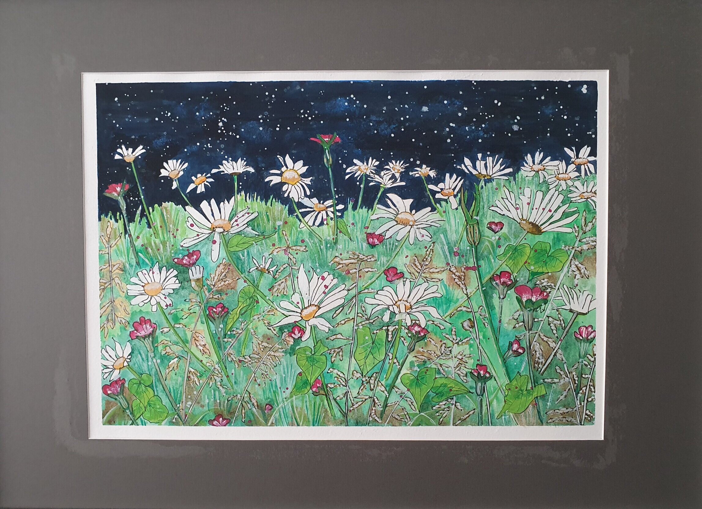 Stars of the Earth - Daisies by Vaneeta Rayner