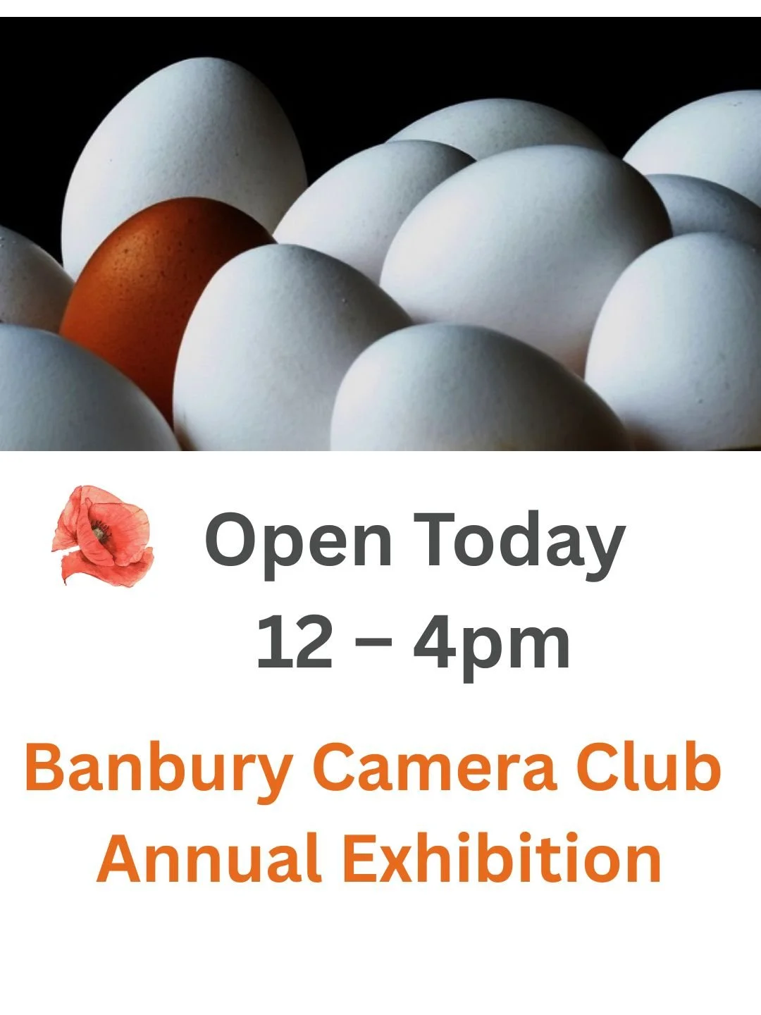 Banbury Camera Club Exhibition is Open Today from 12 &ndash; 4pm

https://www.theheseltinegallery.org.uk/exhibitions-and-events/banbury-camera-club-2025

The Heseltine Gallery, Chenderit School, Archery Road, Middleton Cheney, OX17 2QR

#theheseltine