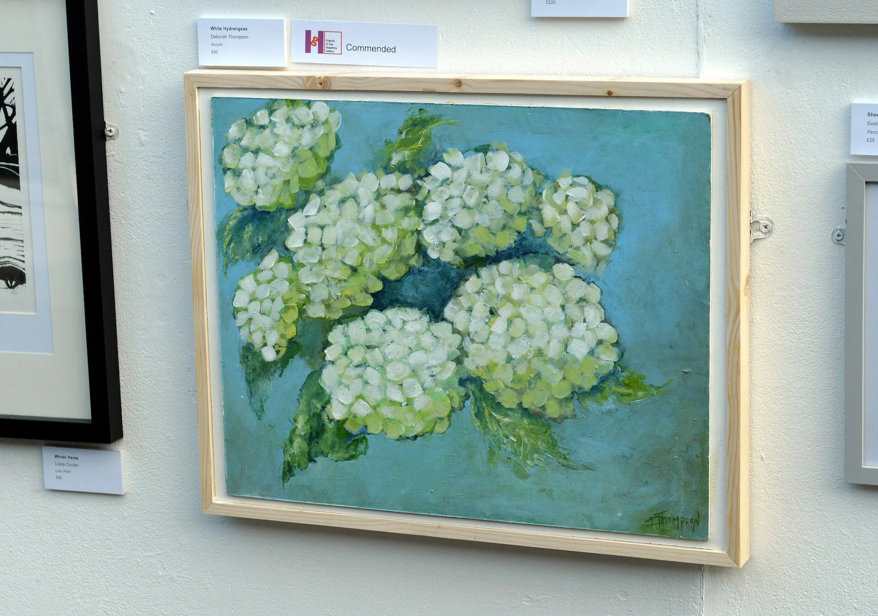 Commended_Deborah Thompson.JPG