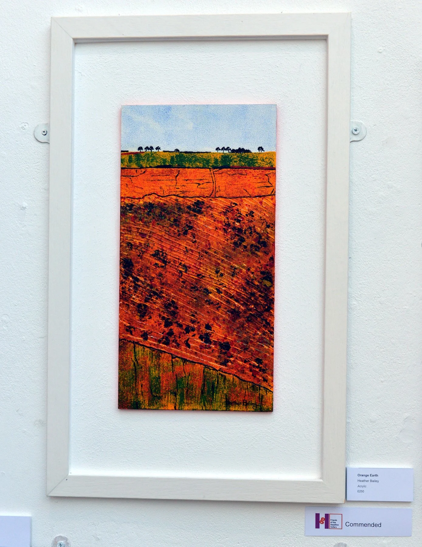 Commended_Heather Bailey.JPG