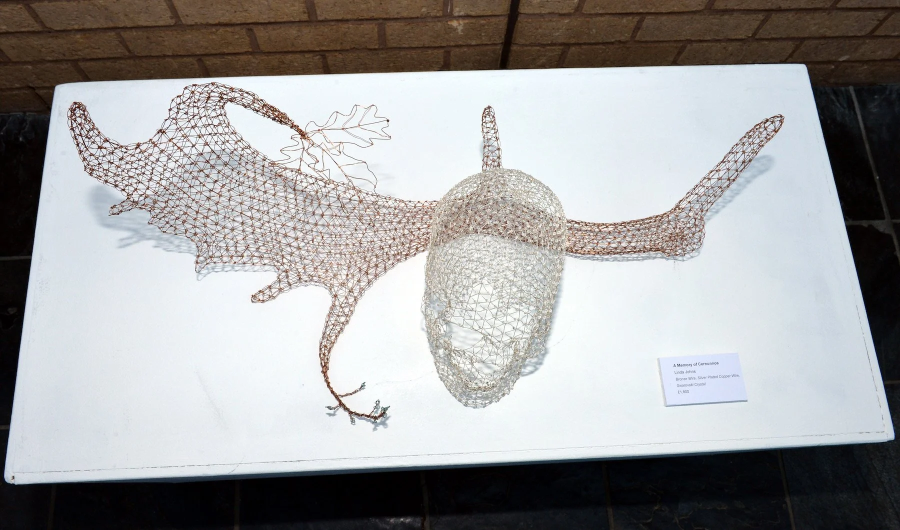 DSC_0158.JPG