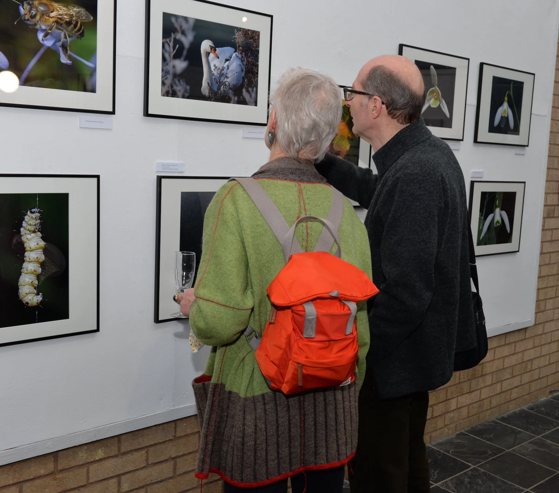 Guests viewing_8824.JPG