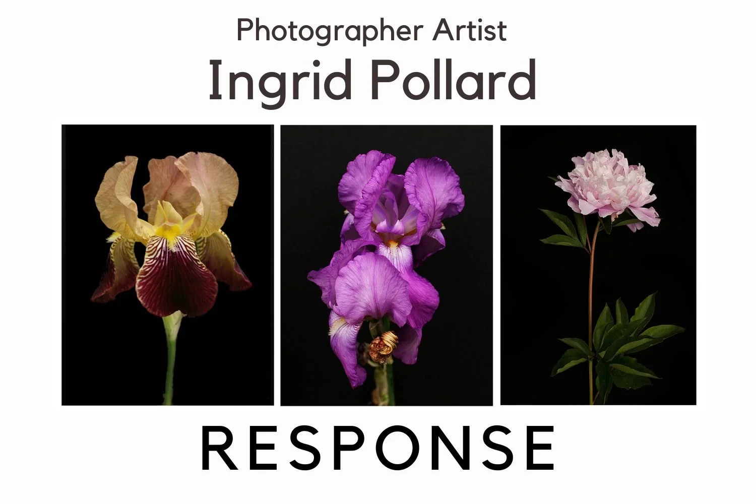 Ingrid Pollard: RESPONSE