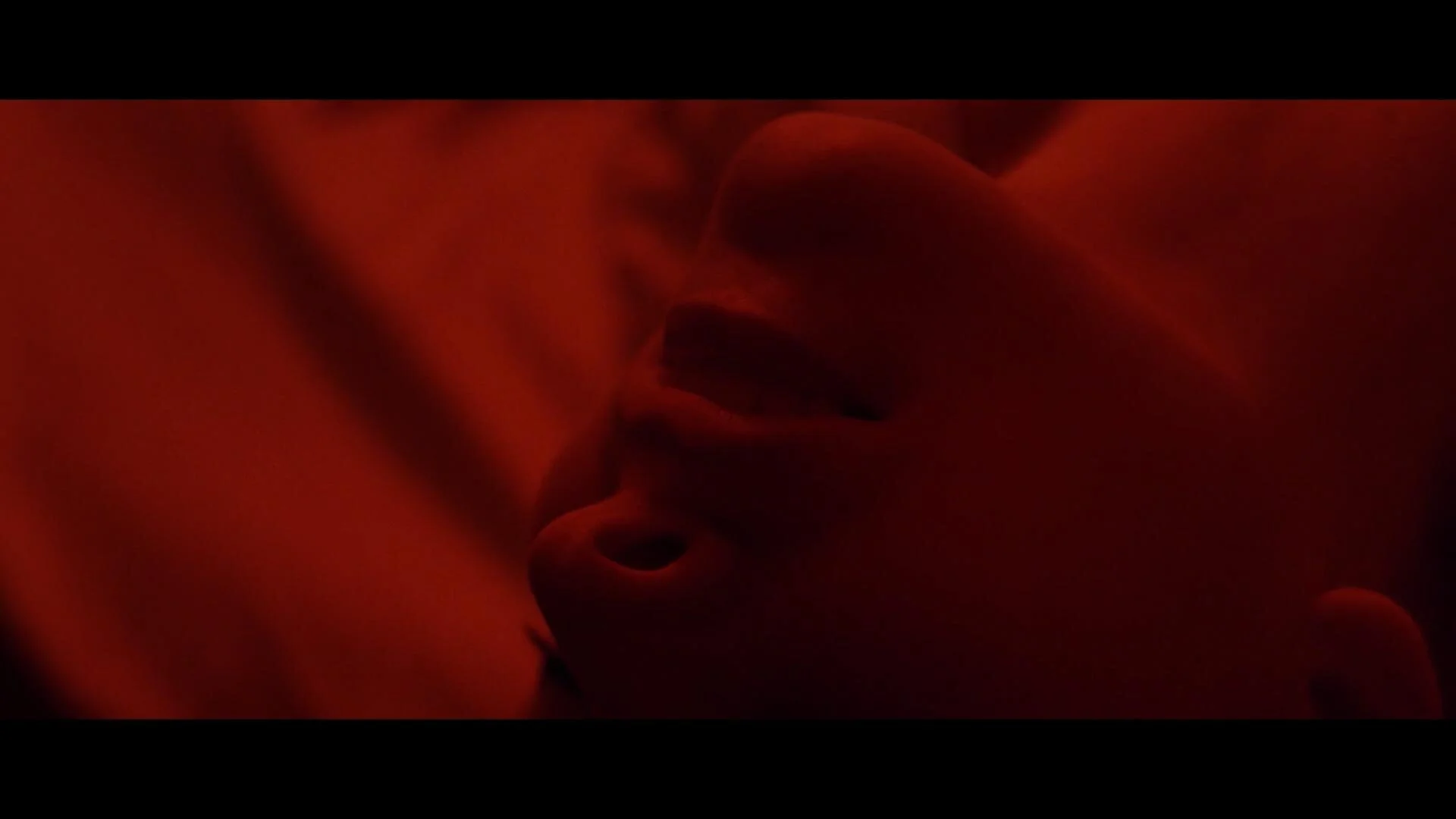 KAMIEL DOENS - REEL.mp4.00_00_48_17.Still003-21.jpg