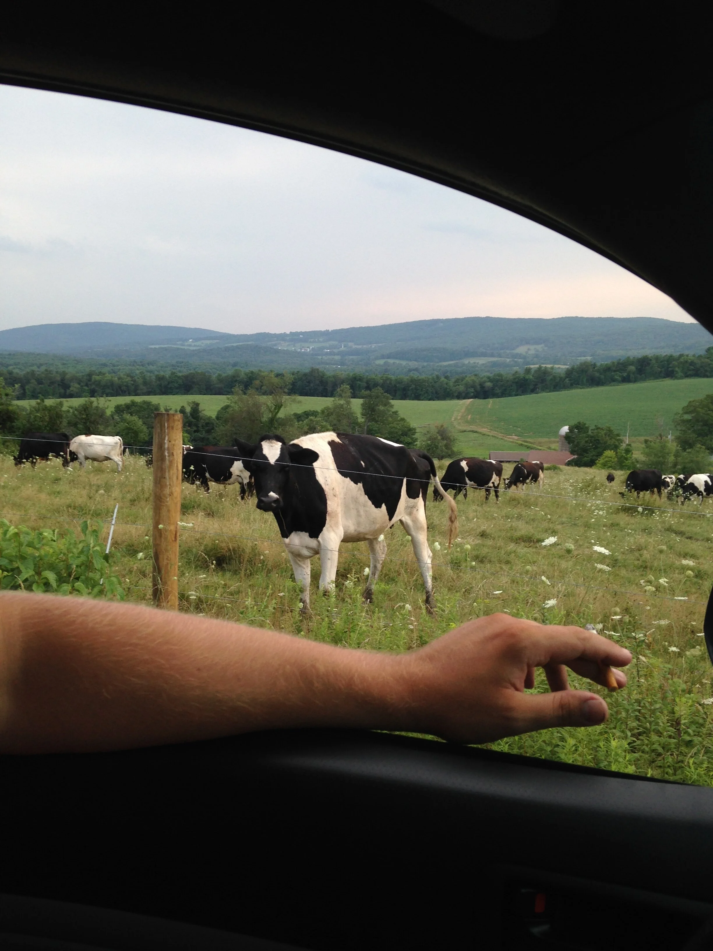 Profile: Green River Project LLC