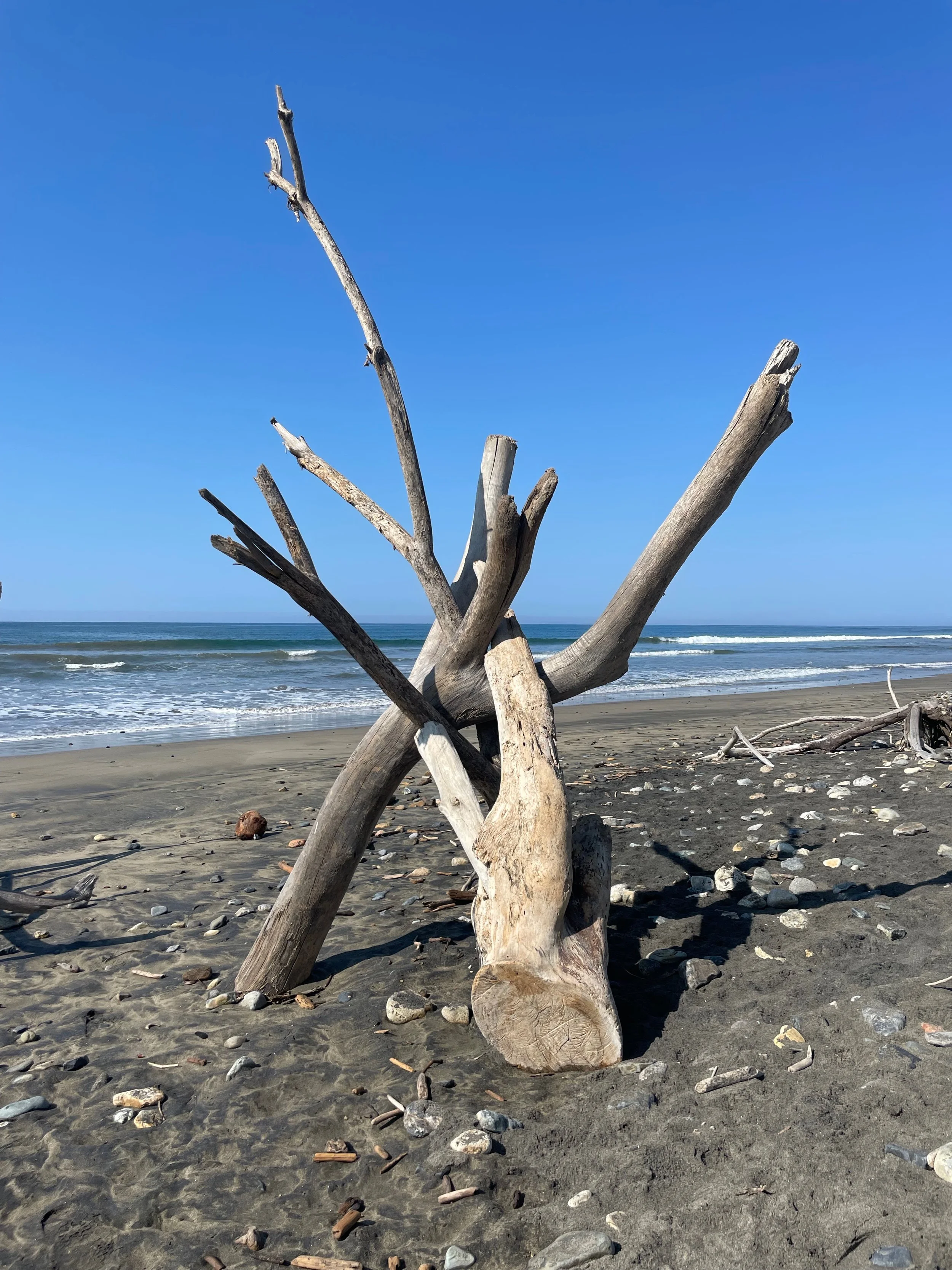 Stone Hunting 003 in Mexico