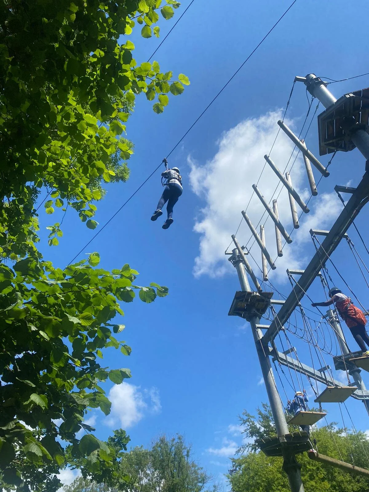 WhatsApp Image 2021-07-10 at 08.05.43.jpeg