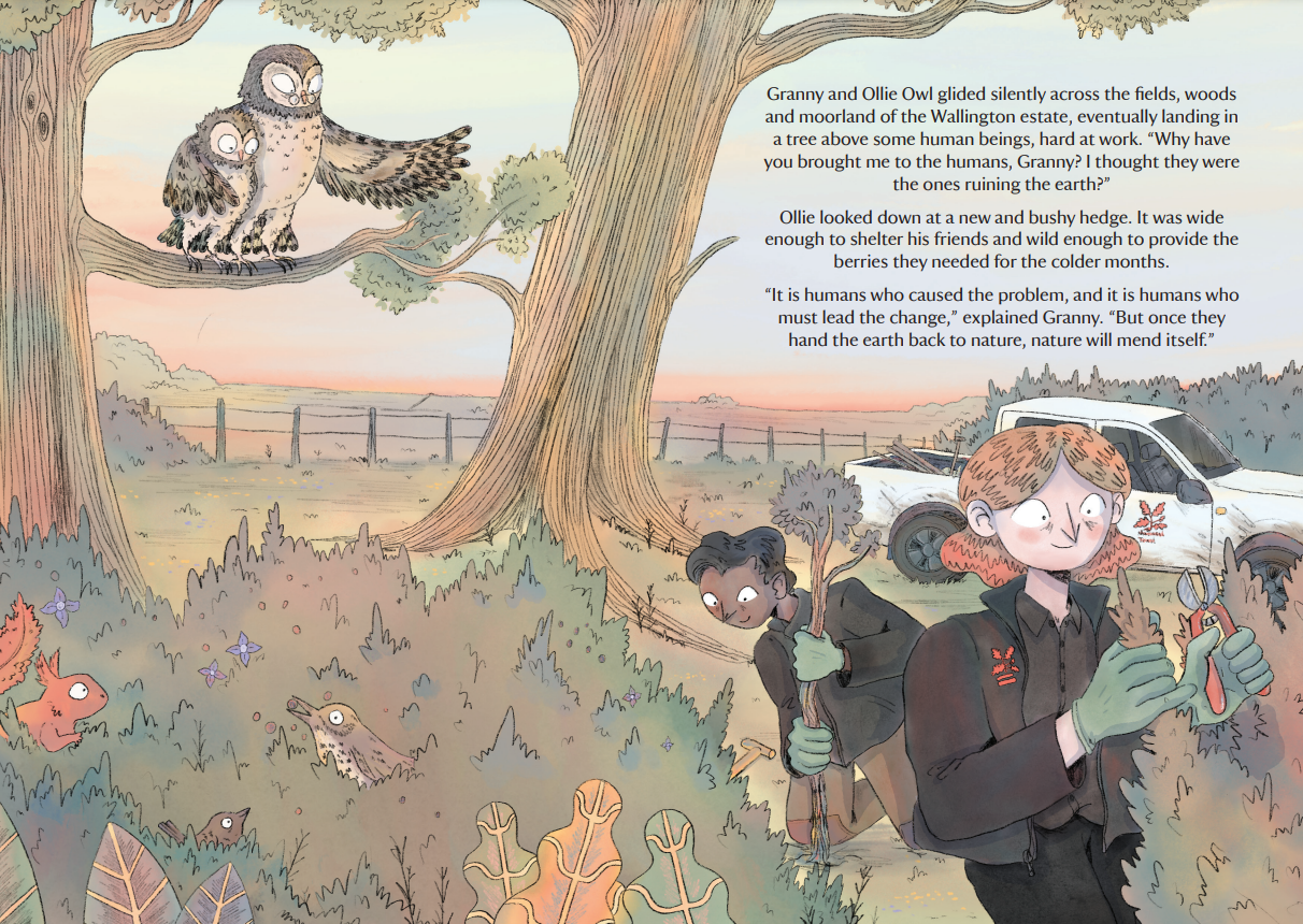 ollie owl wallingotn national trust hedgerow management.PNG