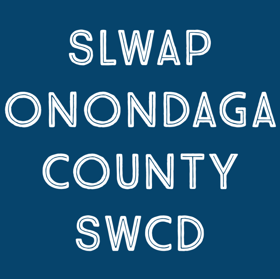 SLWAP