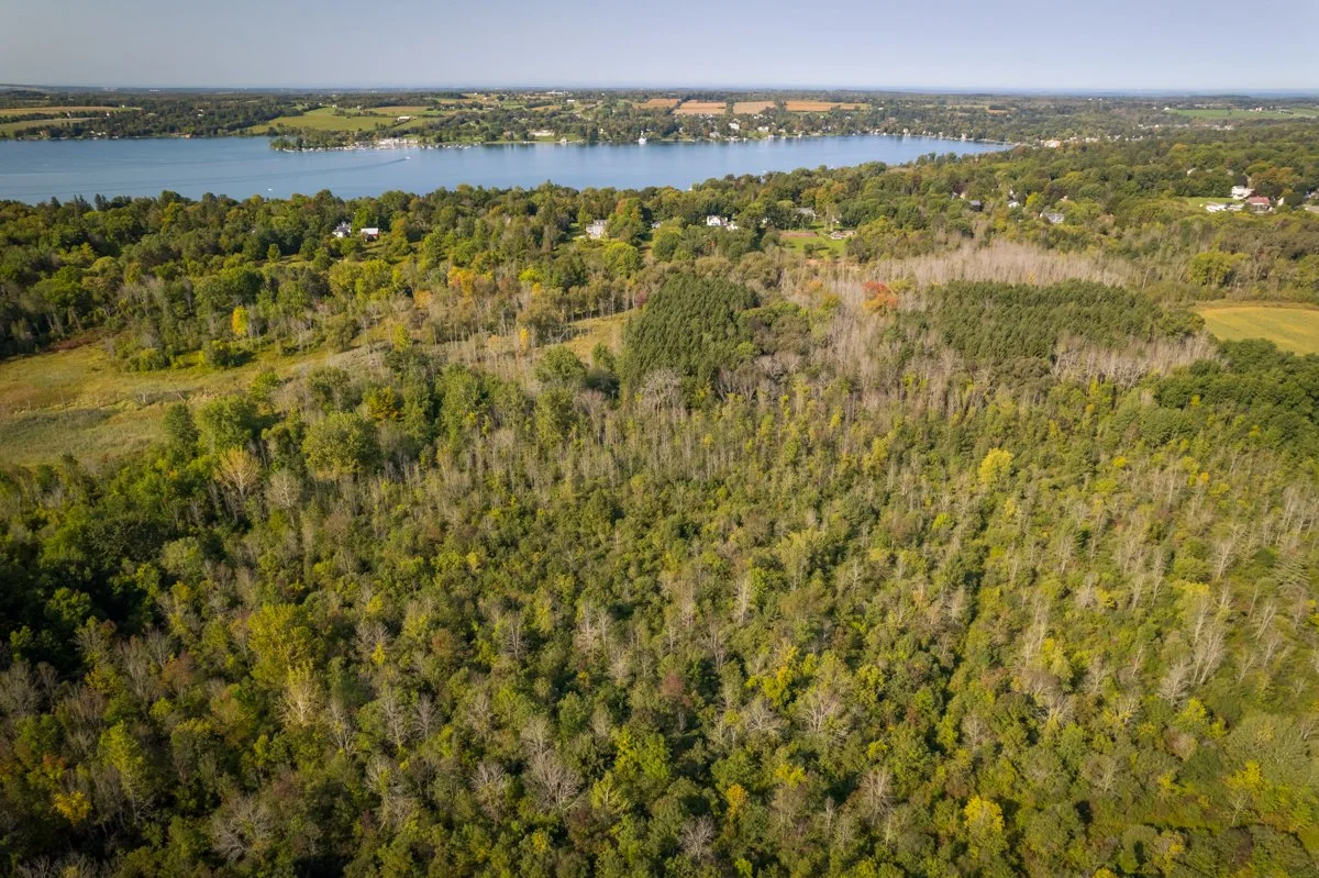 Creation of the Shotwell Brook Conservation Area – A Progress Report
