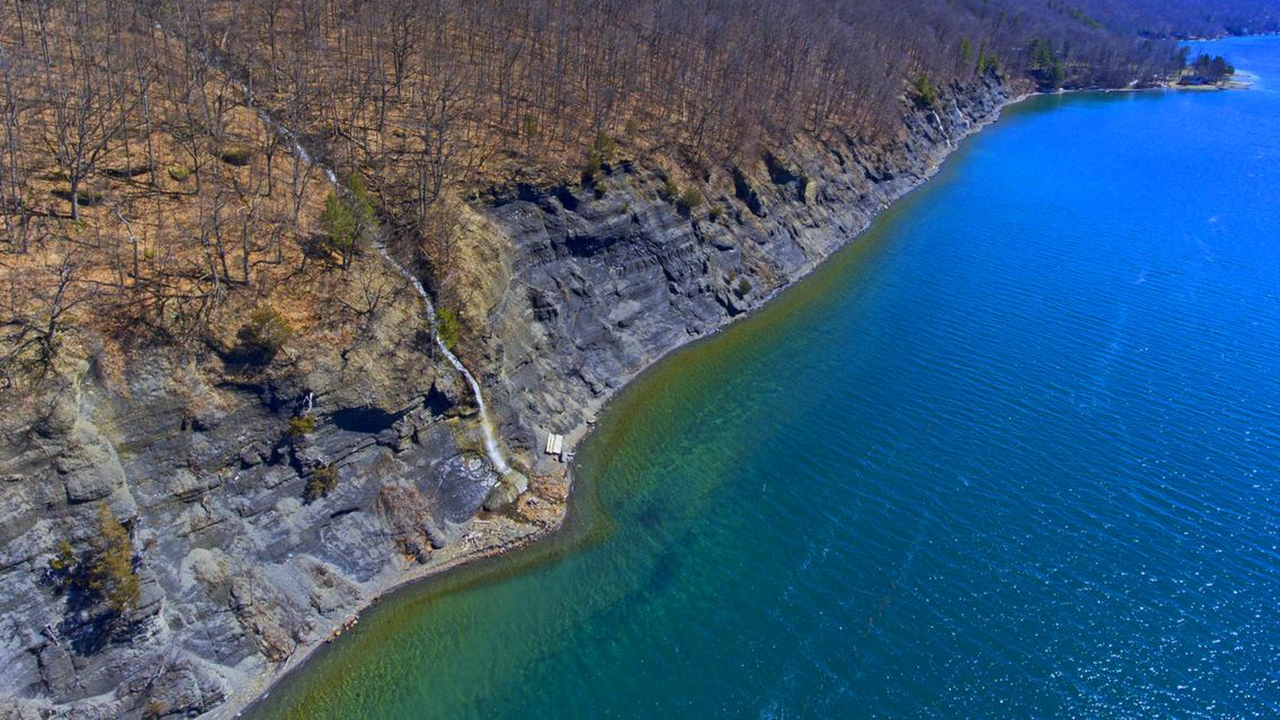 Staghorn Cliffs FLLT.png
