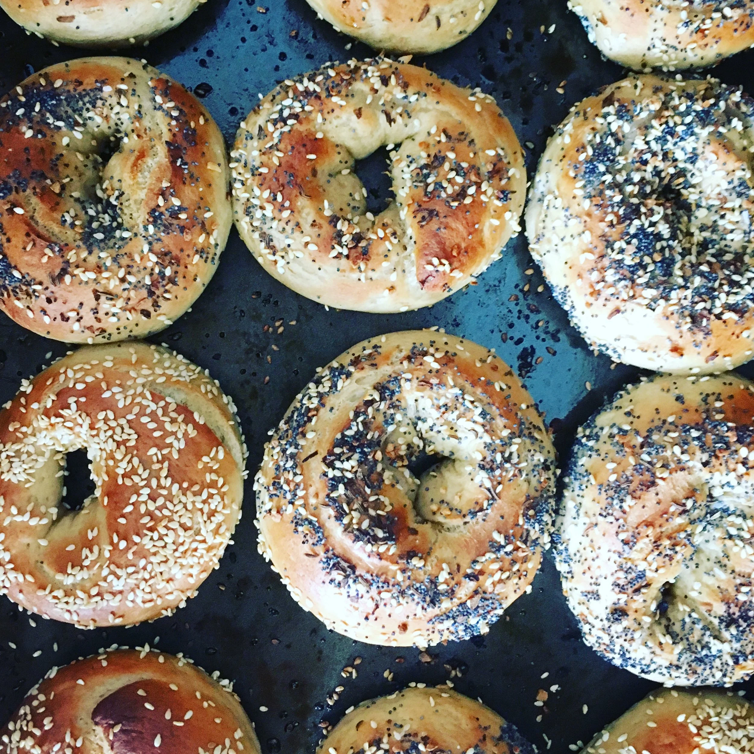 ABOUT — Salty Dog Bagels