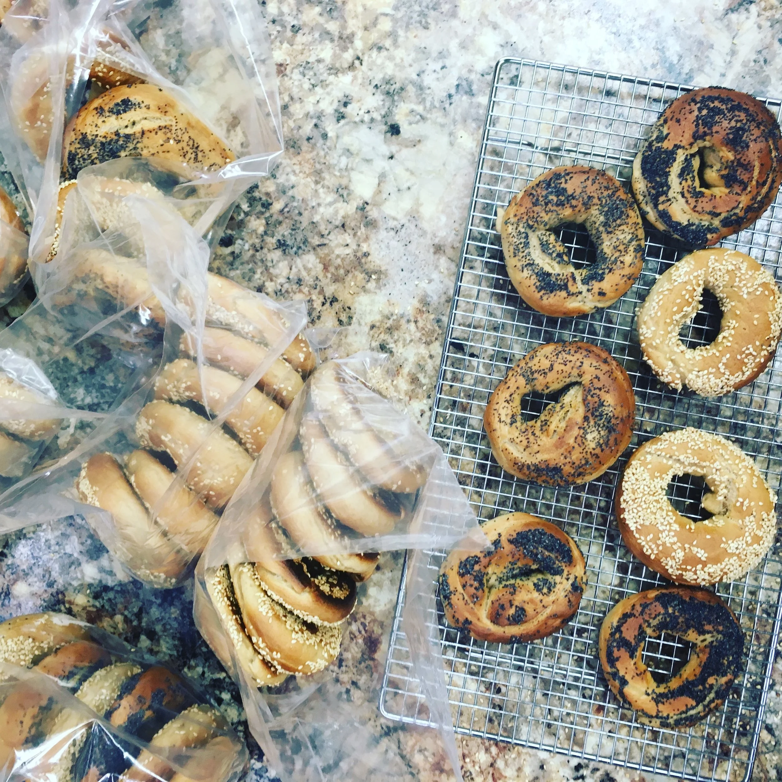 ABOUT — Salty Dog Bagels