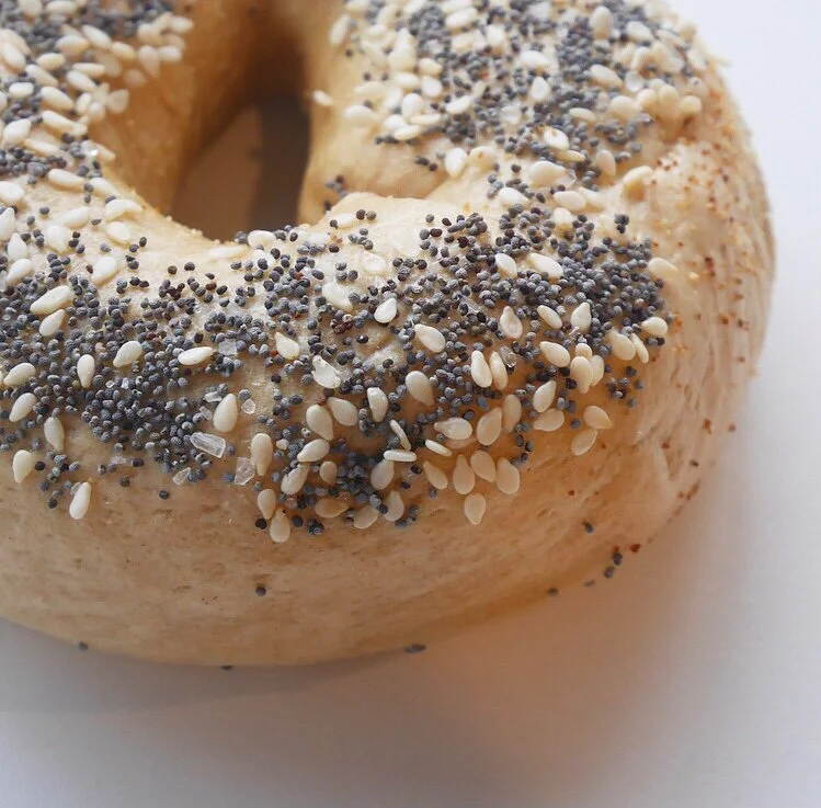 Salty Dog Bagels