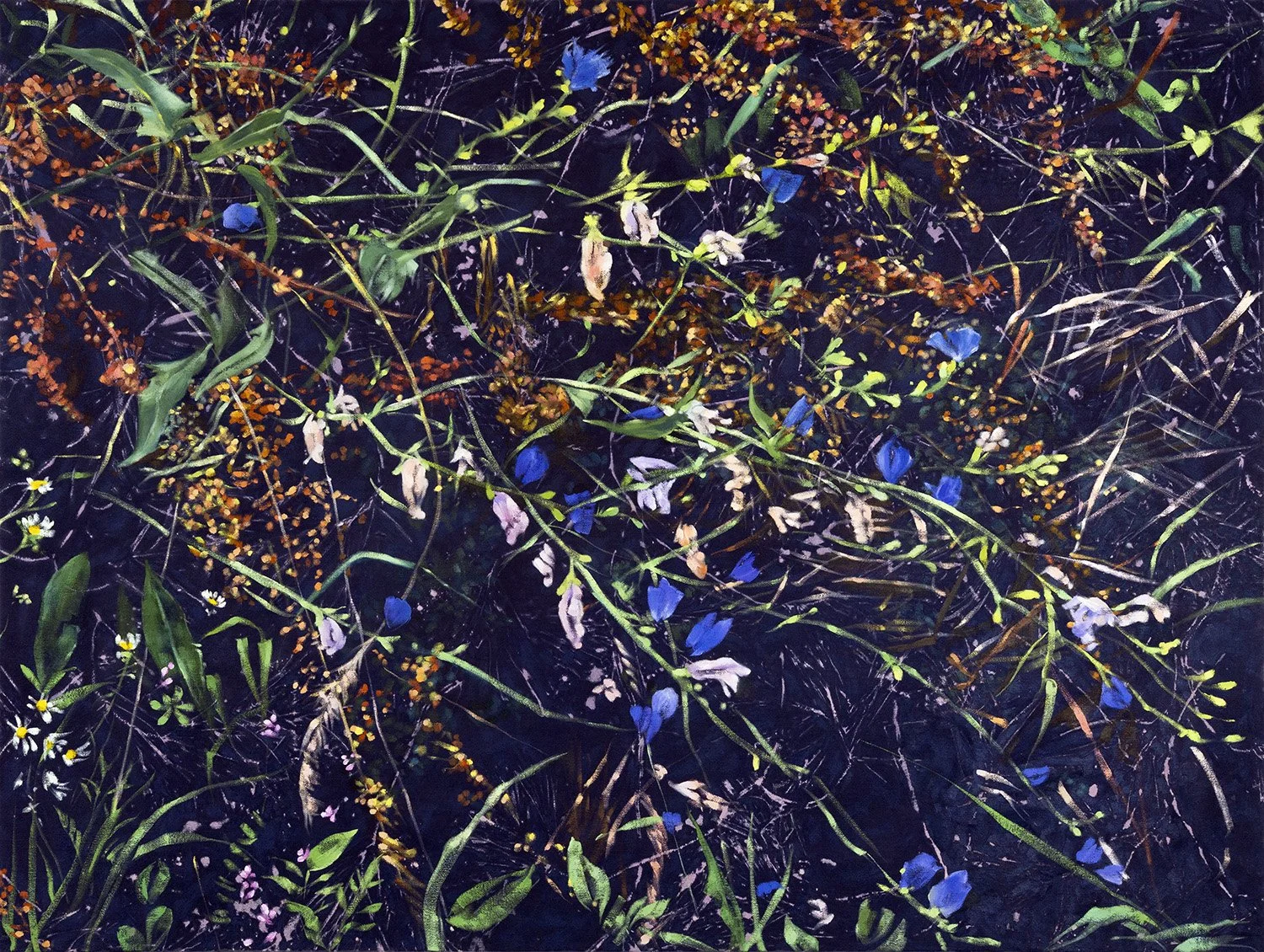 Blue Thicket