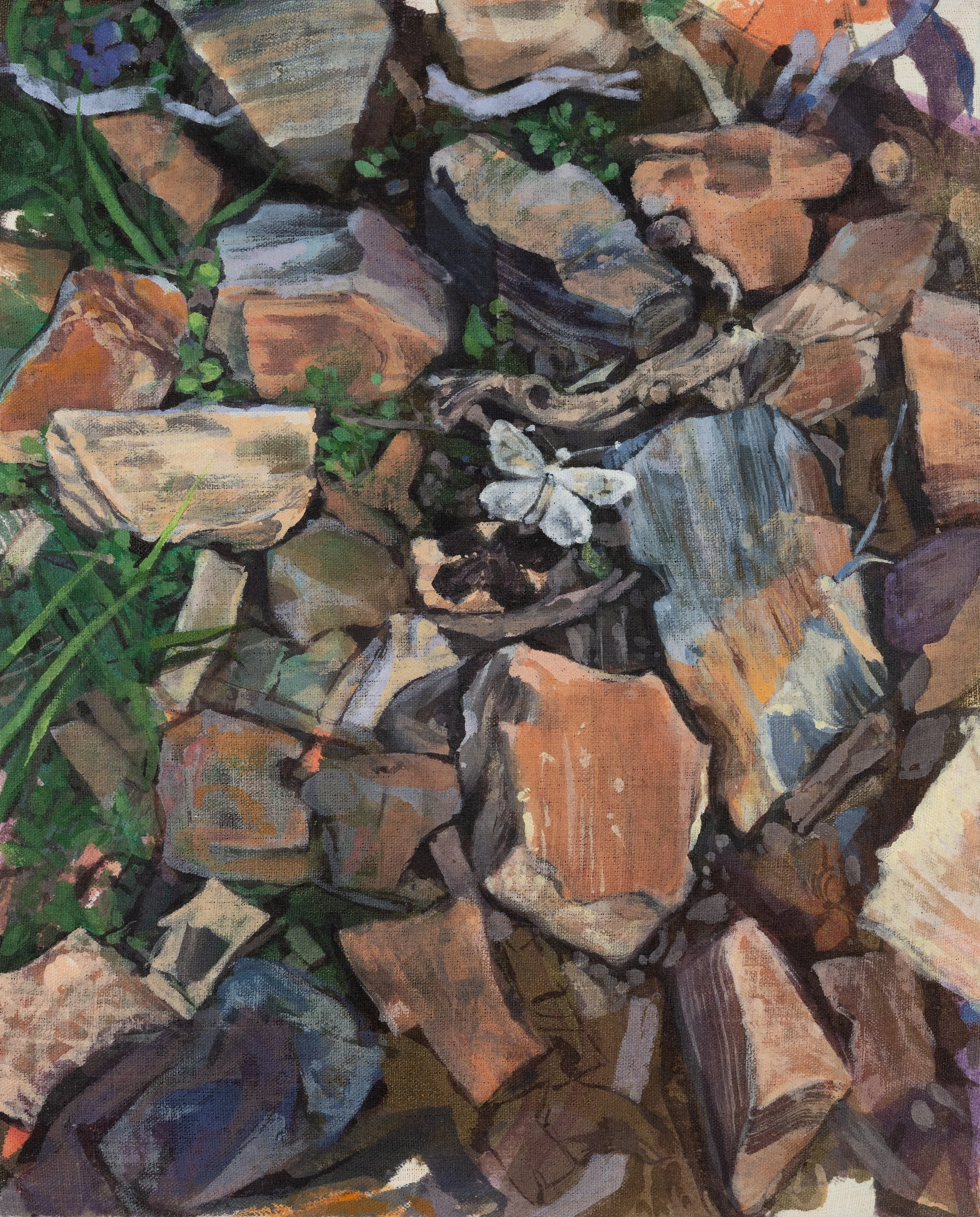 Trail Moth