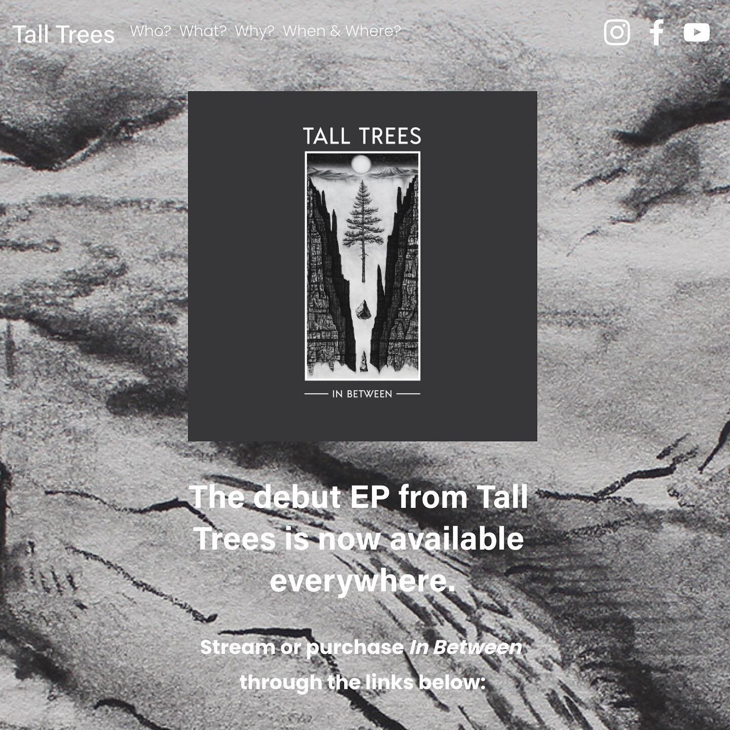 The Tall Trees website is updated - link in bio! Don&rsquo;t have Spotify? You can now stream our songs directly from our website, fo free! Plus, we&rsquo;ve posted all the lyrics to each song so you can sing along 🎤🕺⁣
⁣
Head to www.TallTrees.me to