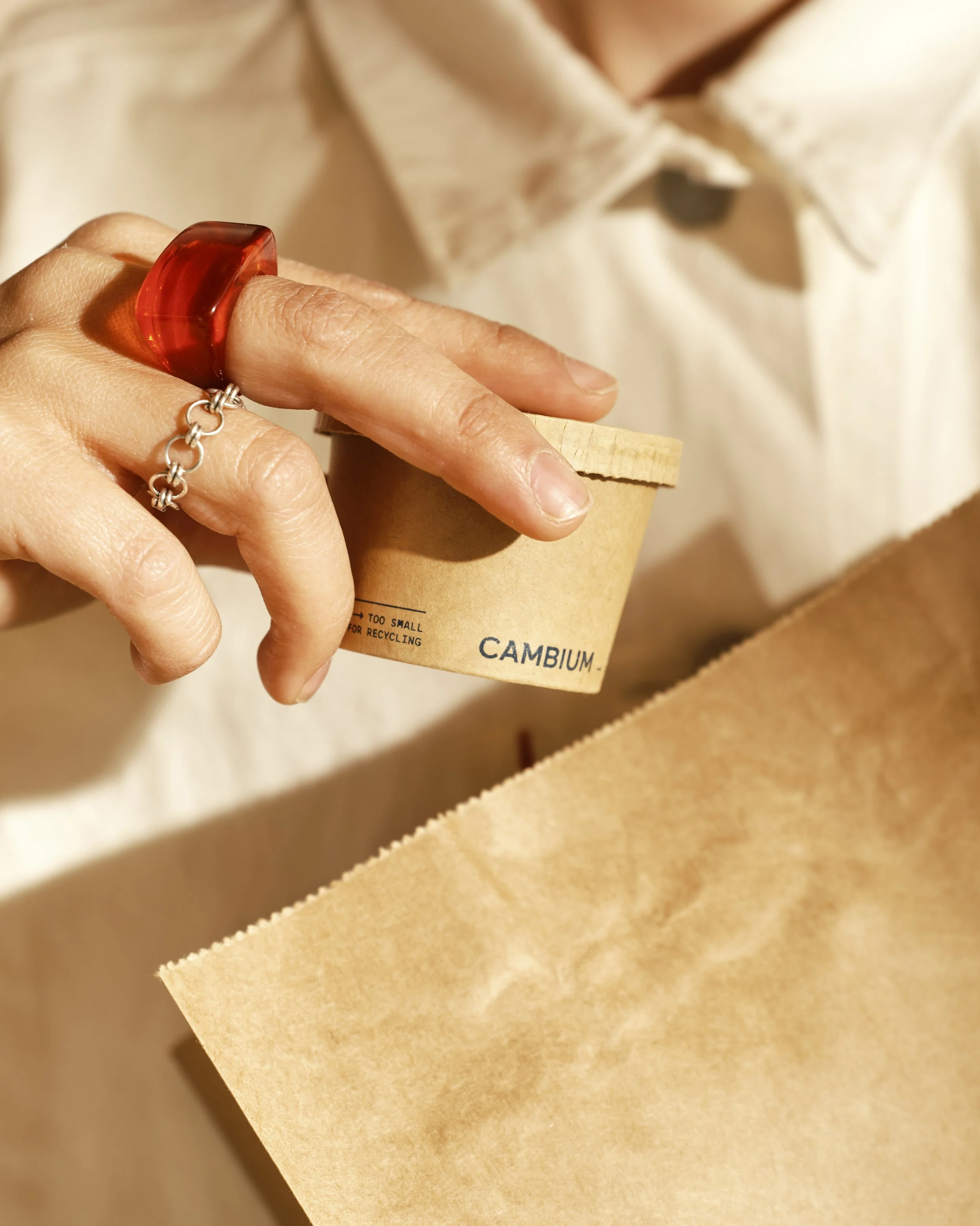 Cambium