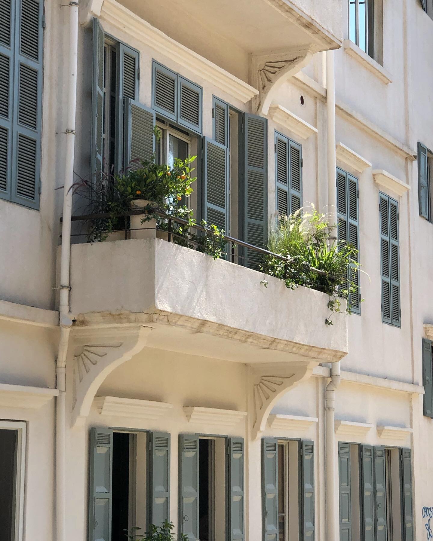 The Mediterranean balcony ☀️ always bathed in sunlight and overflowing with plants 💚🌿