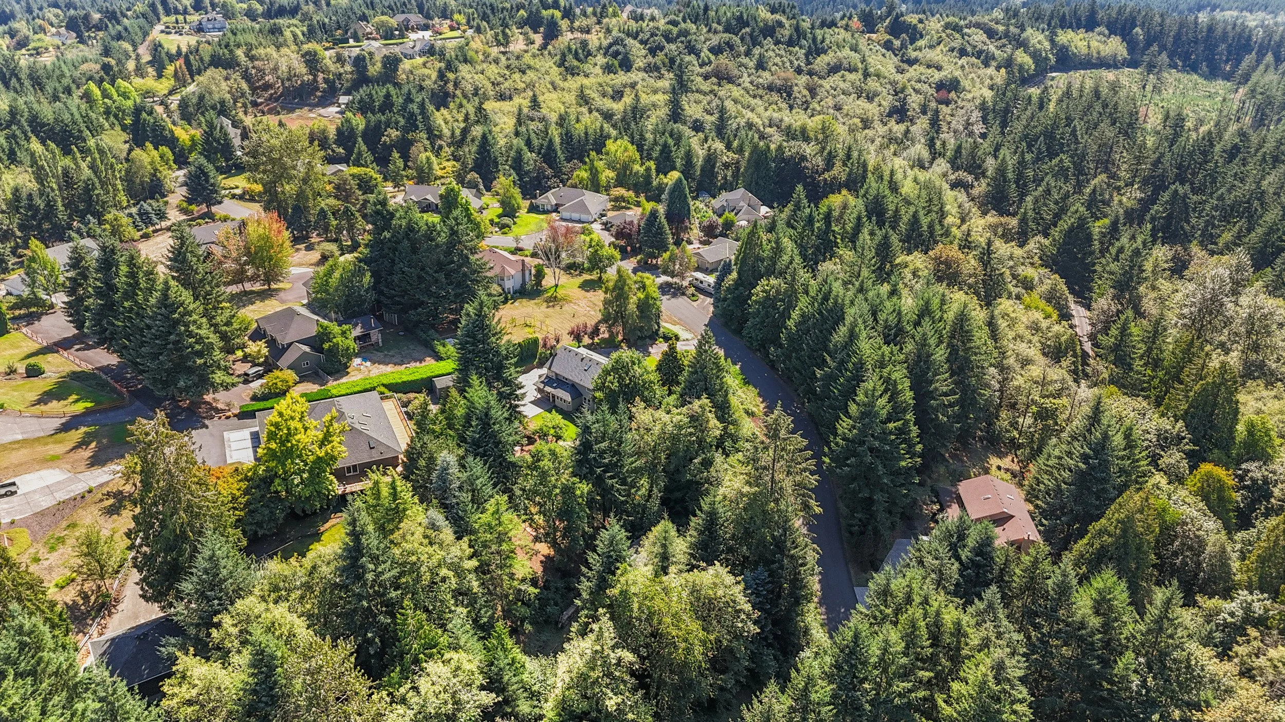 67_13303 ne 227th ave, brush prairie drone-08.jpg