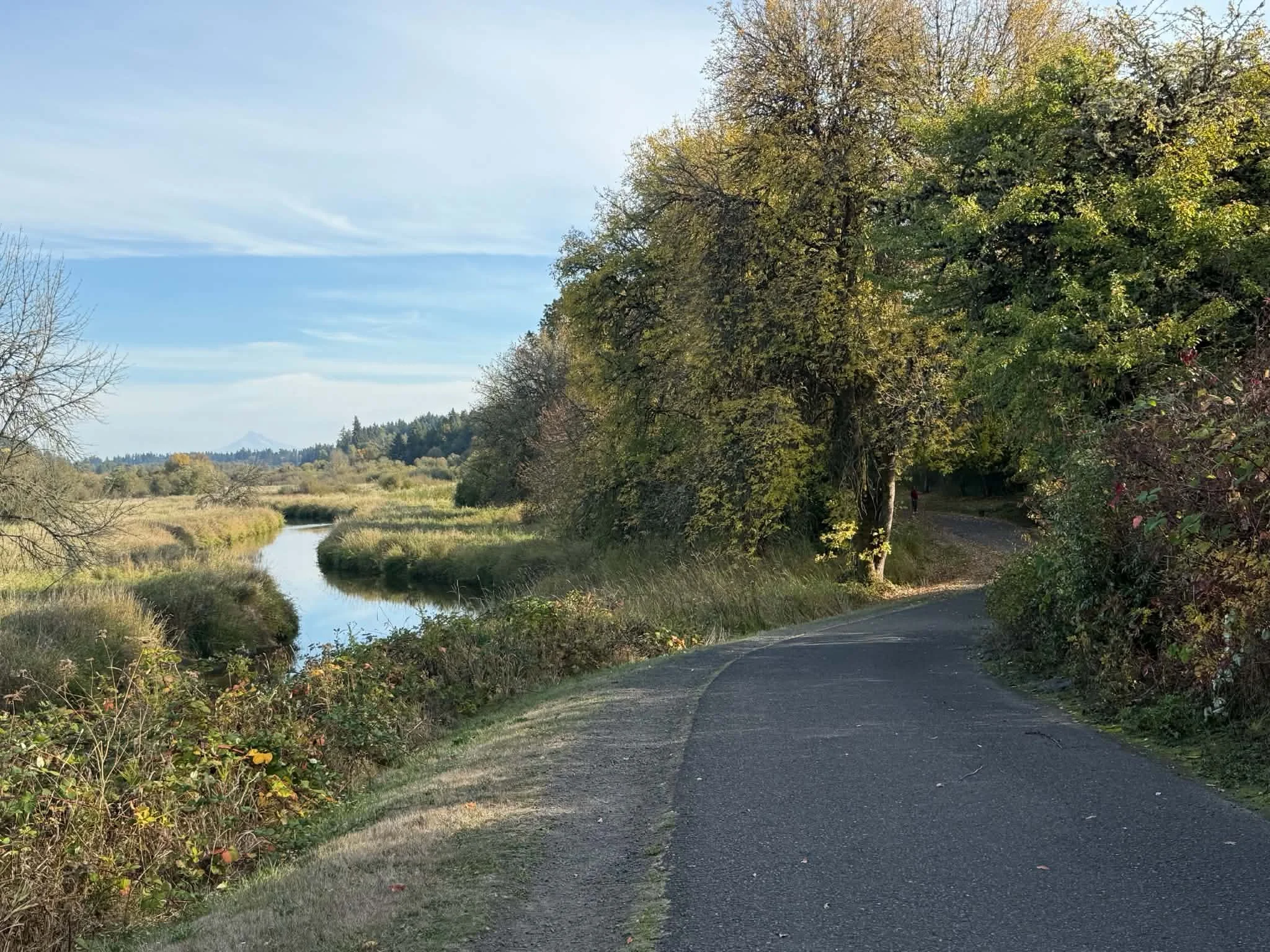 Salmon Creek & Felida | Walking, Running & Biking