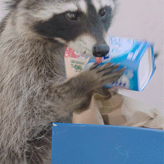 Mentos Raccoon Recycling Force