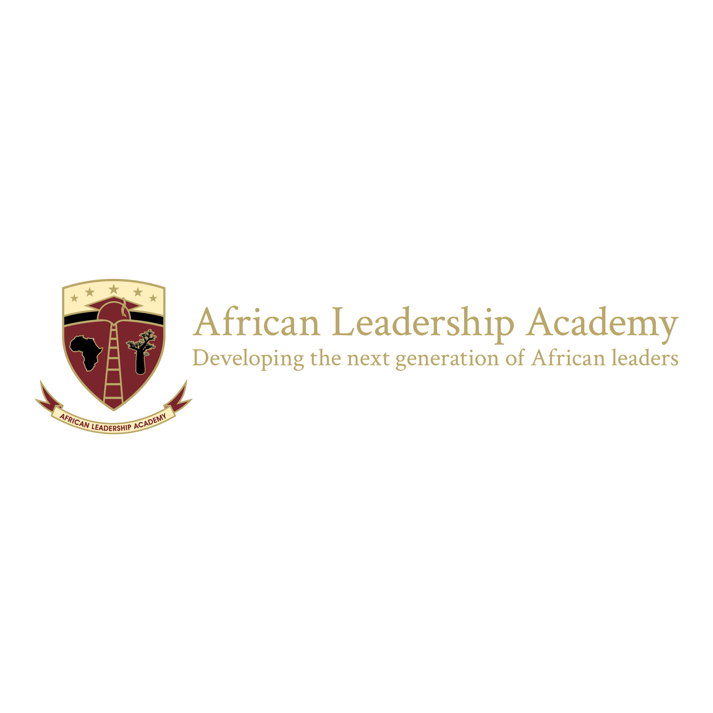 Client logo African Academy.png