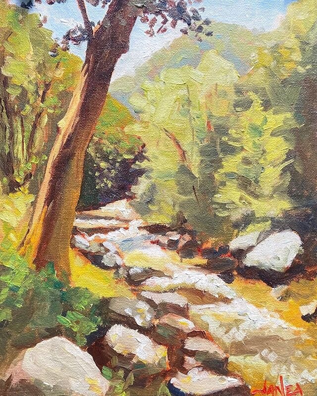 ⁣Getting outside is better for the soul than for my mosquito prone self... but still worth it🌼🤙🏼⠀
⠀
Plein air painting and fly fishing on the Cullasaja River, NC - 6.13.20⠀
⠀
⠀
#stradaeasel #pleinairpainting #riverpainting ⠀