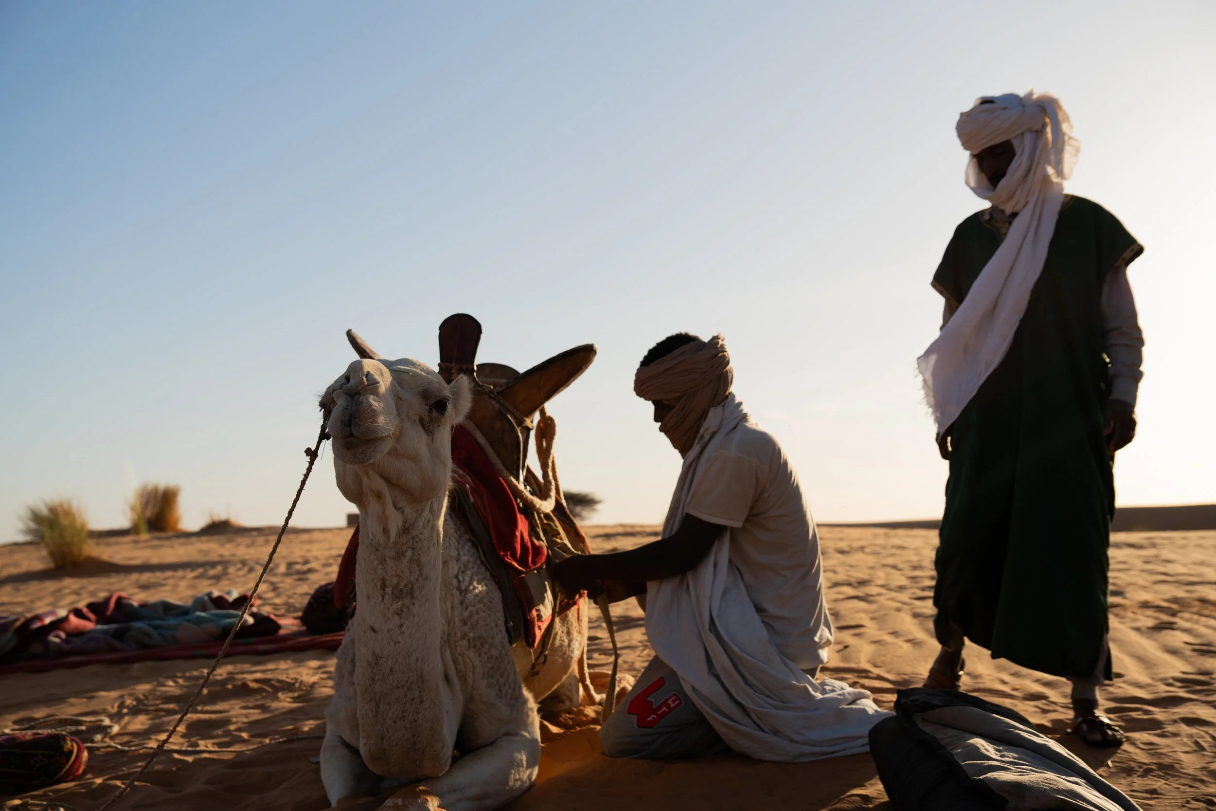 DSC01465 copy.jpg