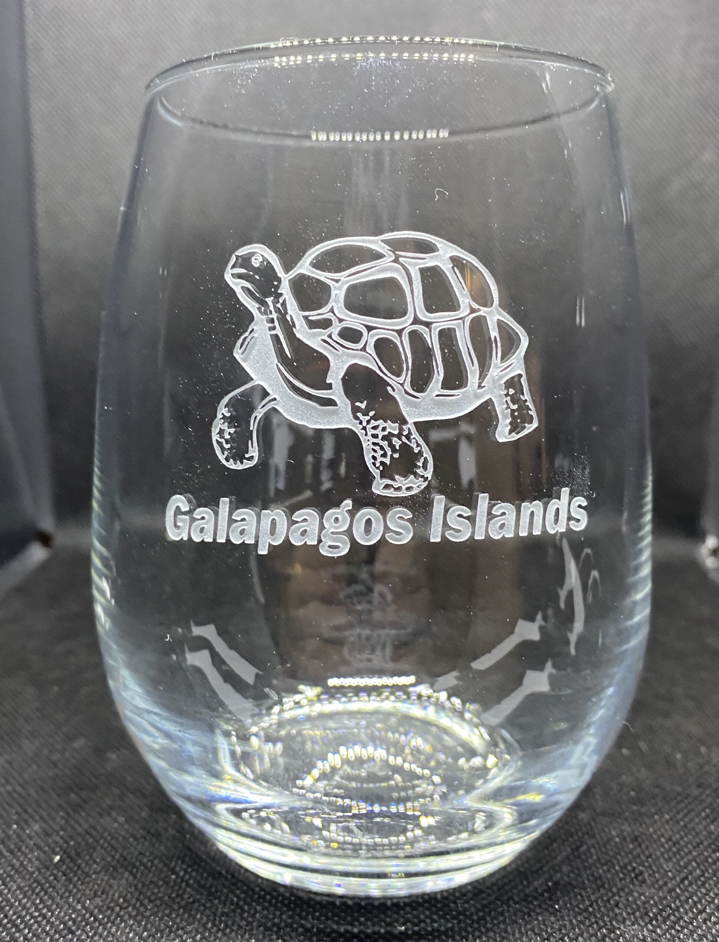 Galapagos Tortoise