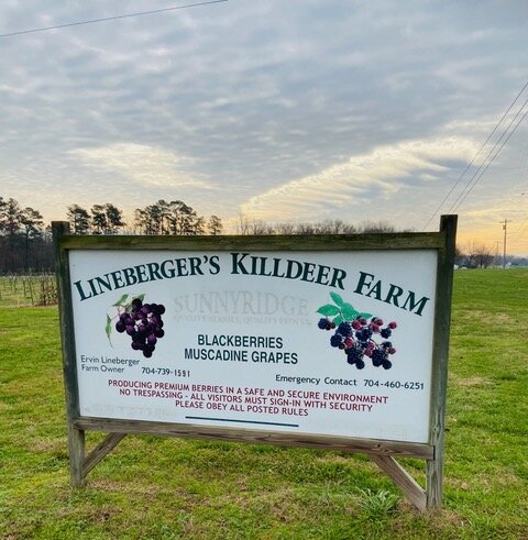 Lineberger_s_Killdeer_Farm_-_1_of_3.jpeg